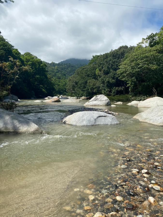 Wayanay Tayrona Eco Hostel El Zaino Exteriör bild