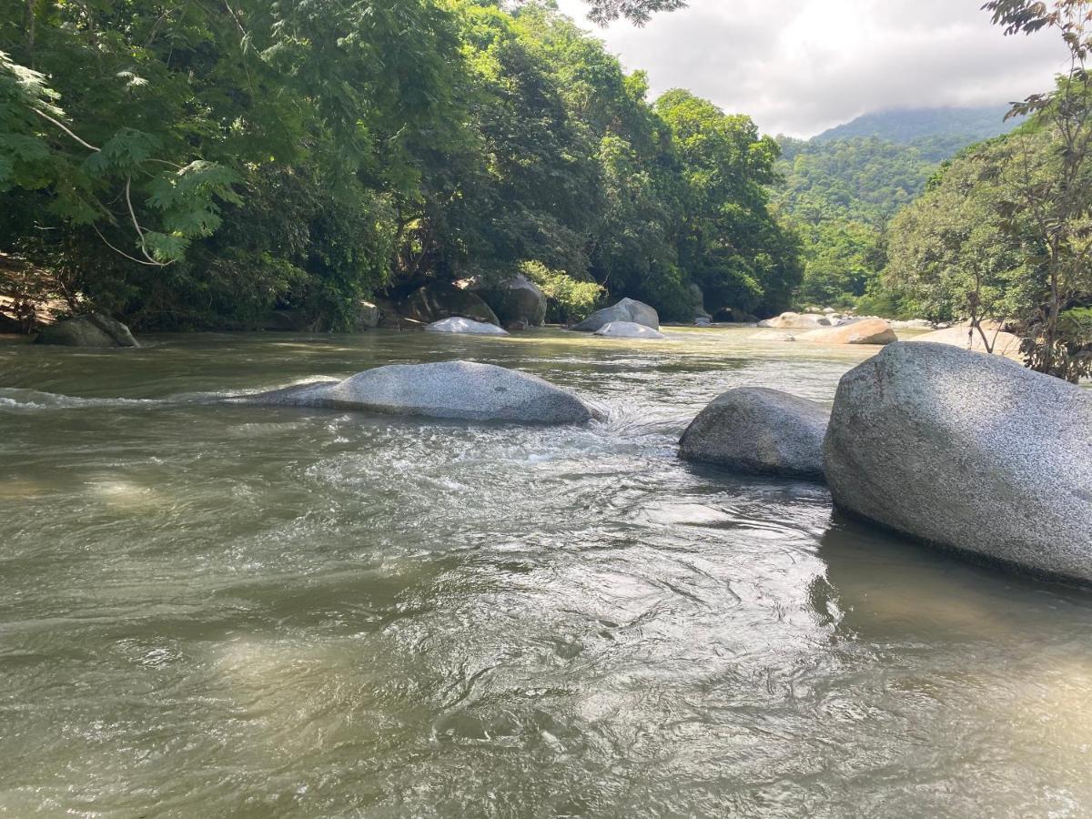 Wayanay Tayrona Eco Hostel El Zaino Exteriör bild