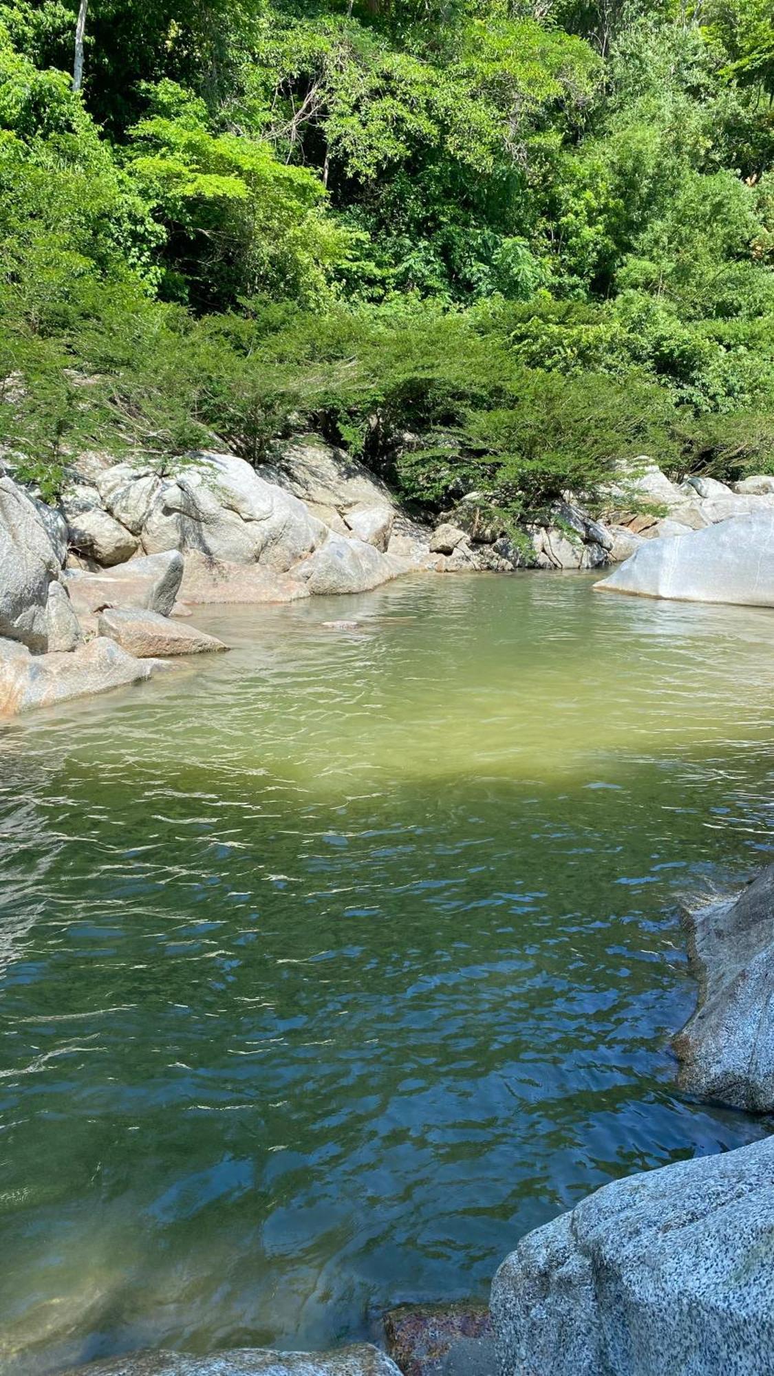 Wayanay Tayrona Eco Hostel El Zaino Exteriör bild