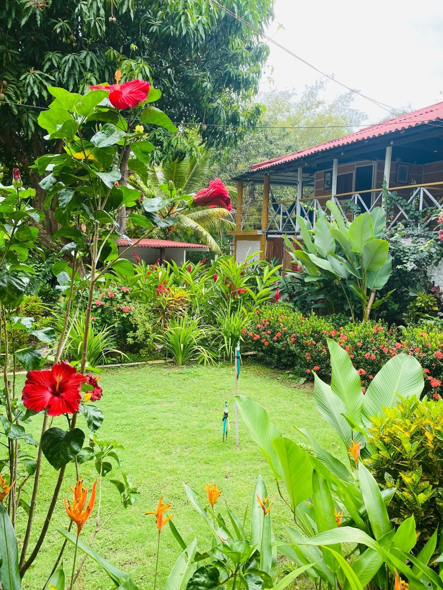 Wayanay Tayrona Eco Hostel El Zaino Exteriör bild