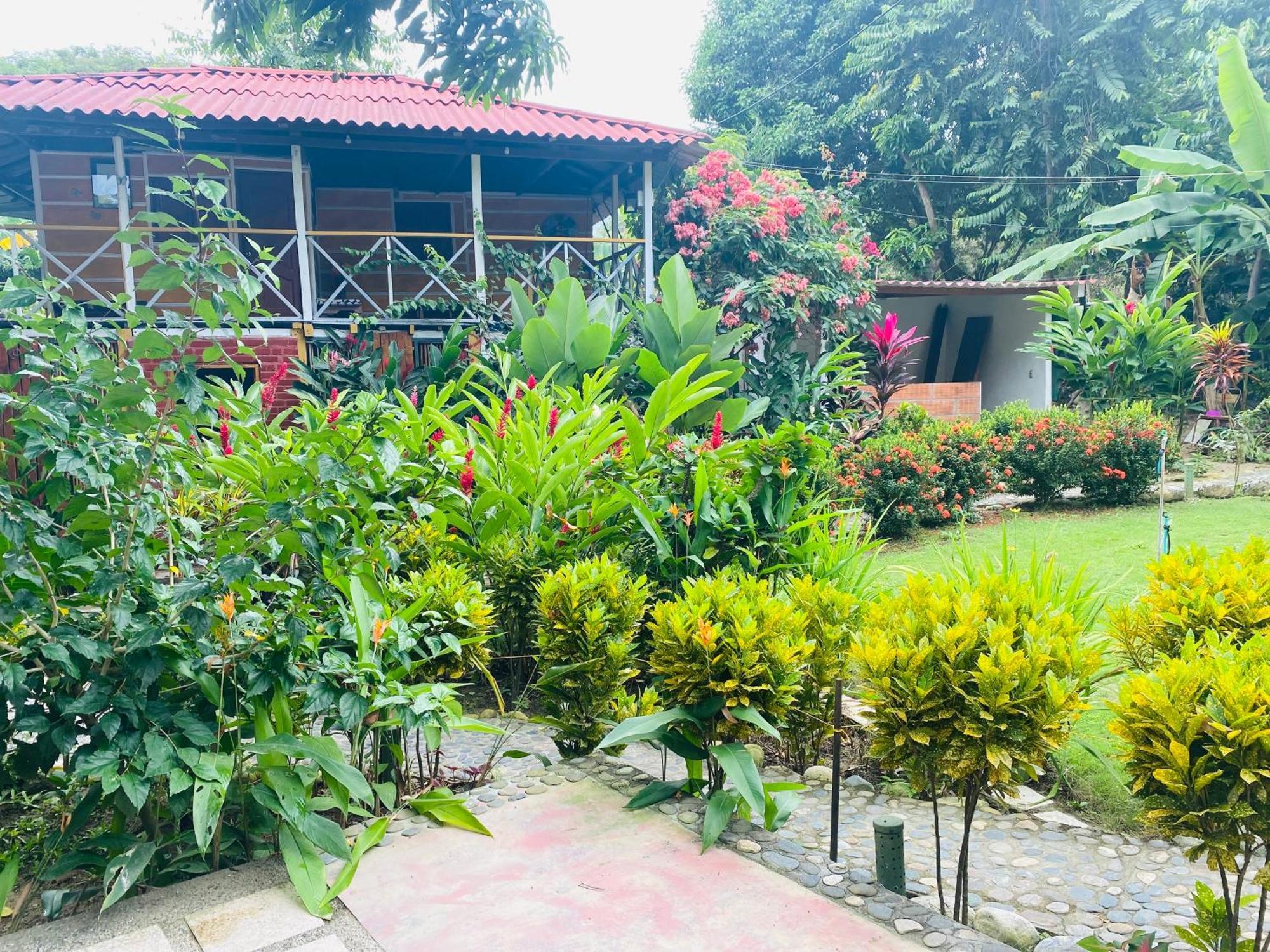 Wayanay Tayrona Eco Hostel El Zaino Exteriör bild