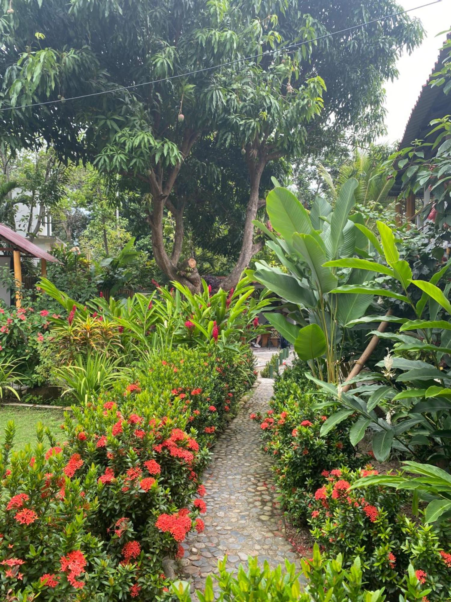 Wayanay Tayrona Eco Hostel El Zaino Exteriör bild