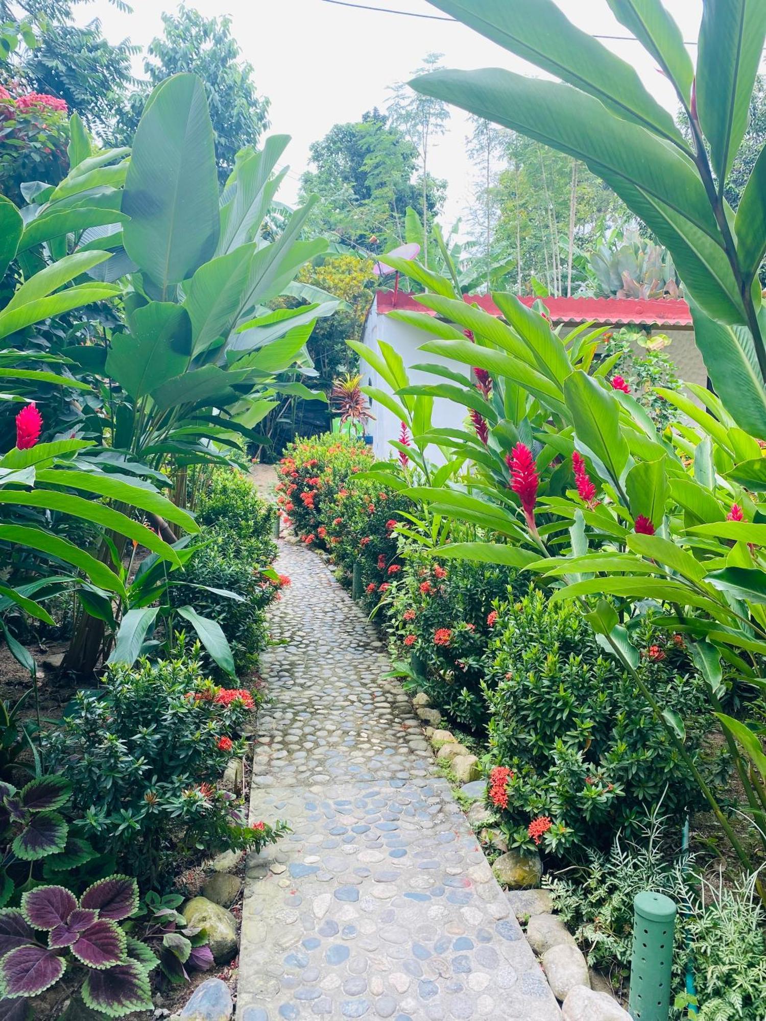 Wayanay Tayrona Eco Hostel El Zaino Exteriör bild